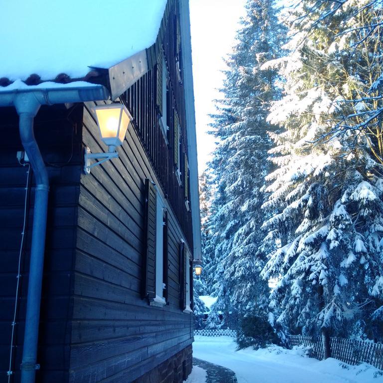 The Cabin - Harz National Park Hotel Sankt Andreasberg Buitenkant foto